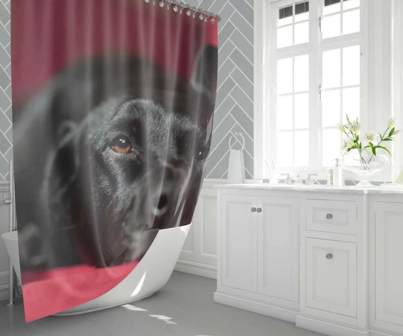 Labrador Majestic Essence Loyal Companion Shower Curtain 1