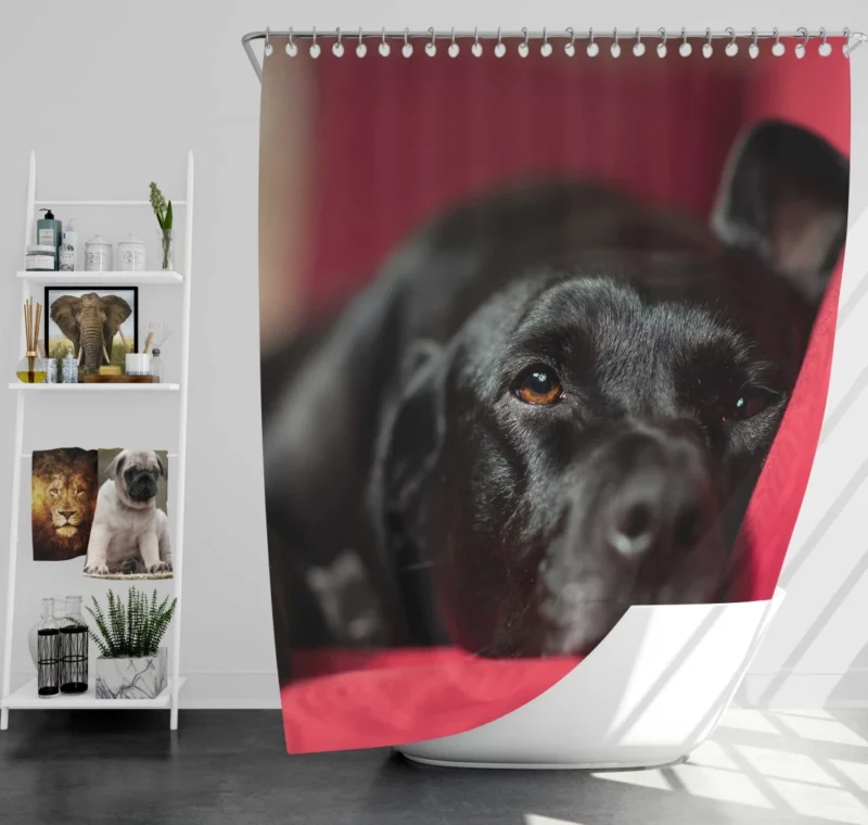 Labrador Majestic Essence Loyal Companion Shower Curtain