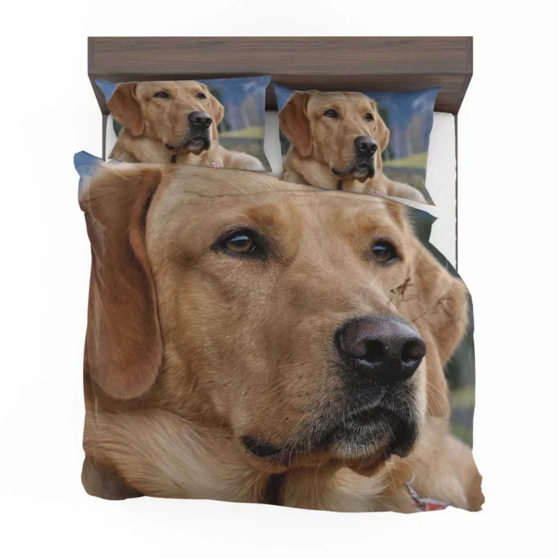 Labrador Playful Energy Bedding Set 1