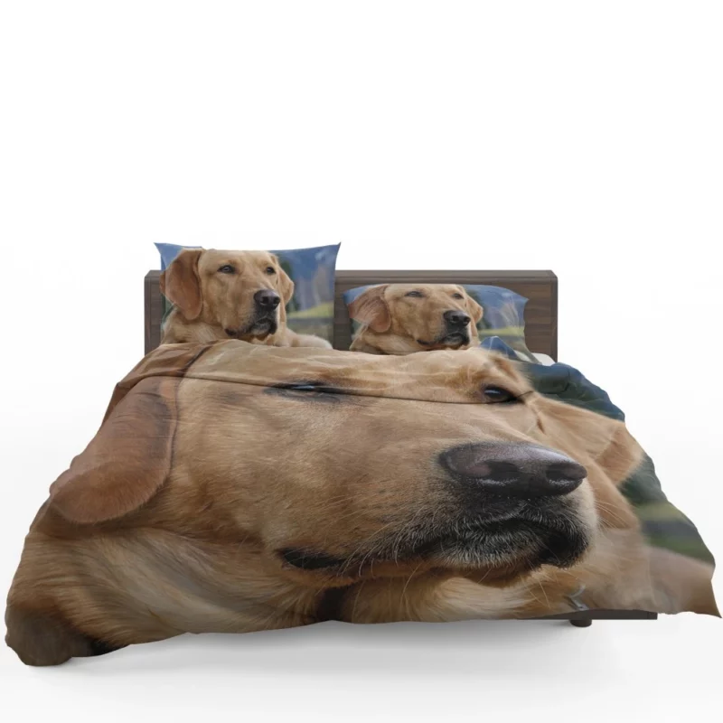 Labrador Playful Energy Bedding Set