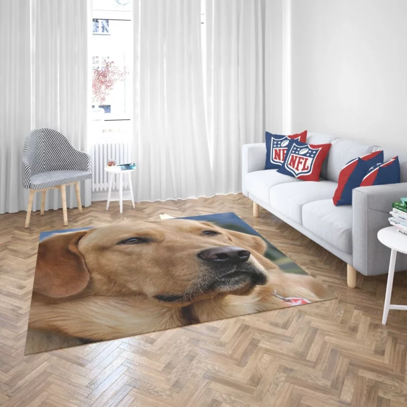 Labrador Playful Energy Rug 2