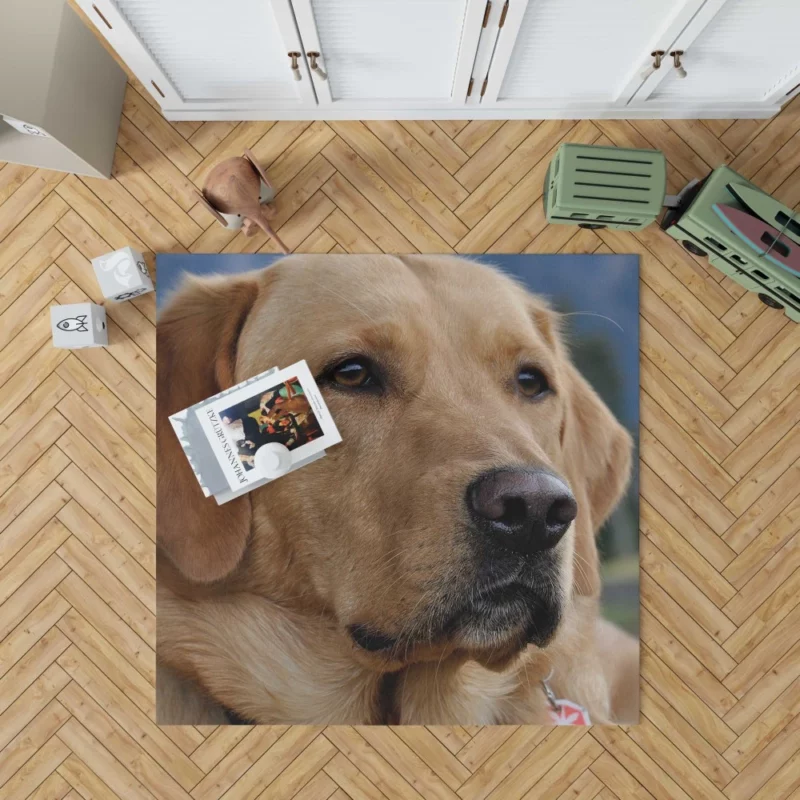 Labrador Playful Energy Rug