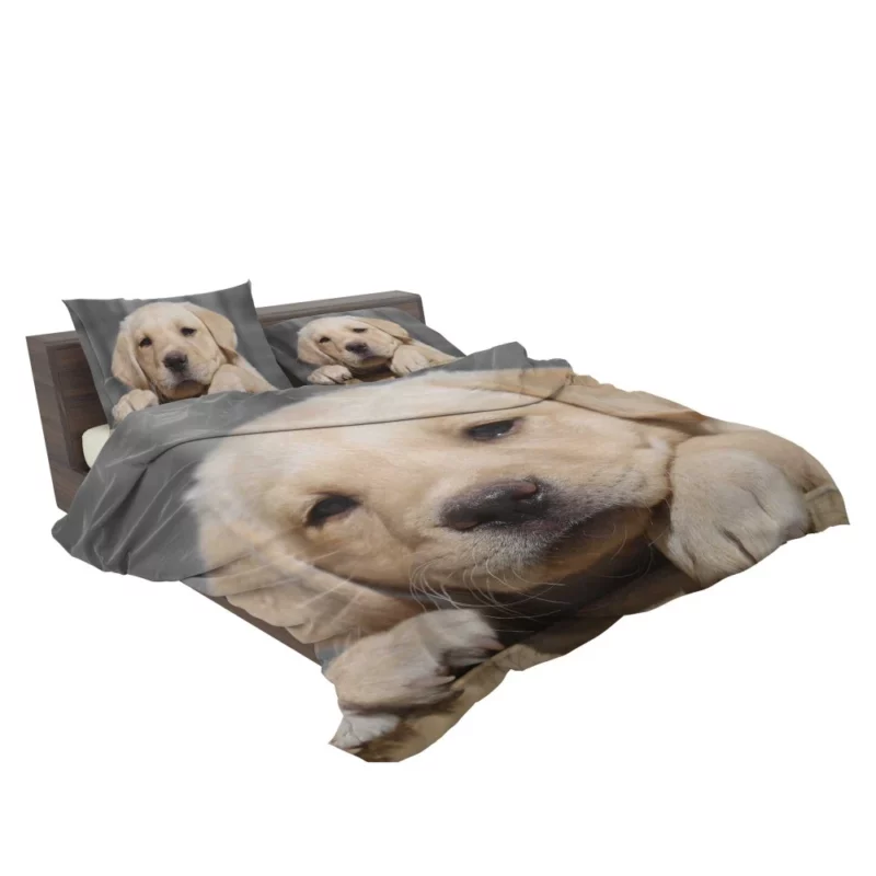 Labrador Puppy Innocent Appeal Fuzzy Delight Bedding Set 2