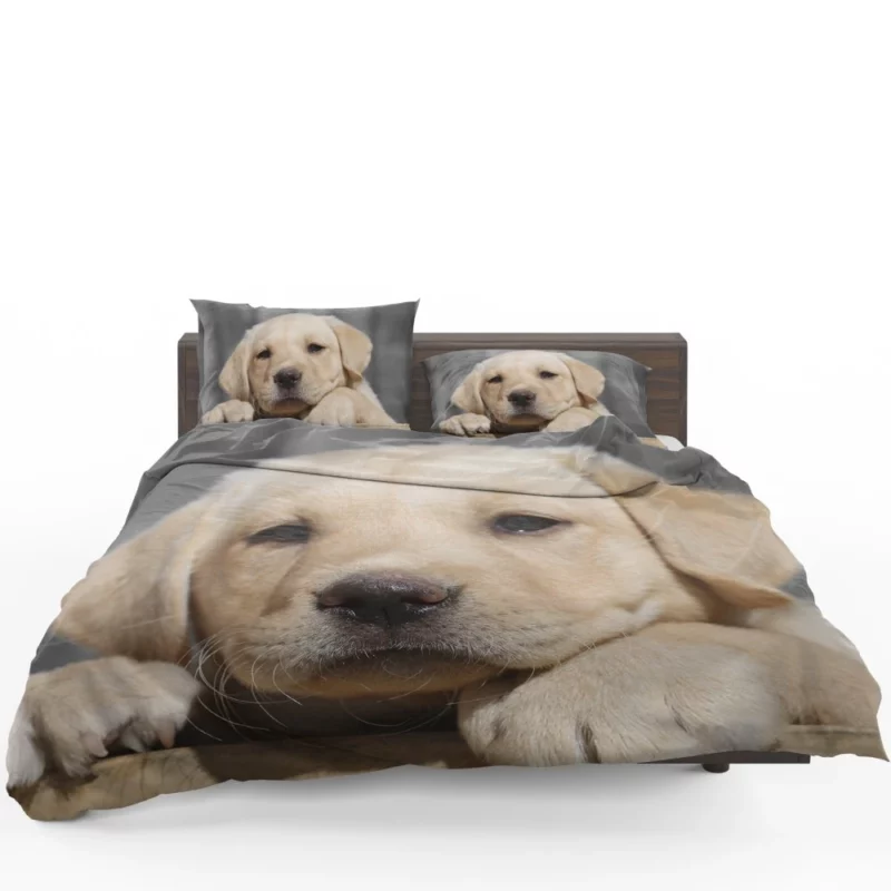 Labrador Puppy Innocent Appeal Fuzzy Delight Bedding Set