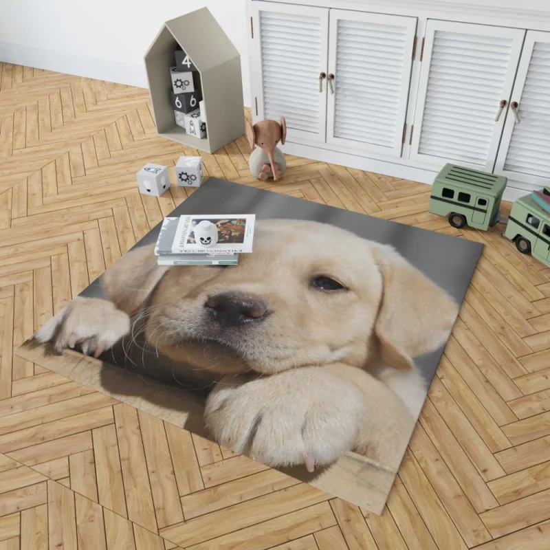 Labrador Puppy Innocent Appeal Fuzzy Delight Rug 1