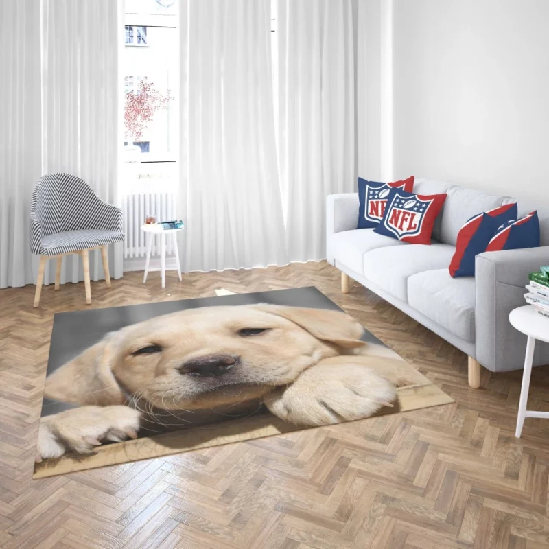 Labrador Puppy Innocent Appeal Fuzzy Delight Rug 2