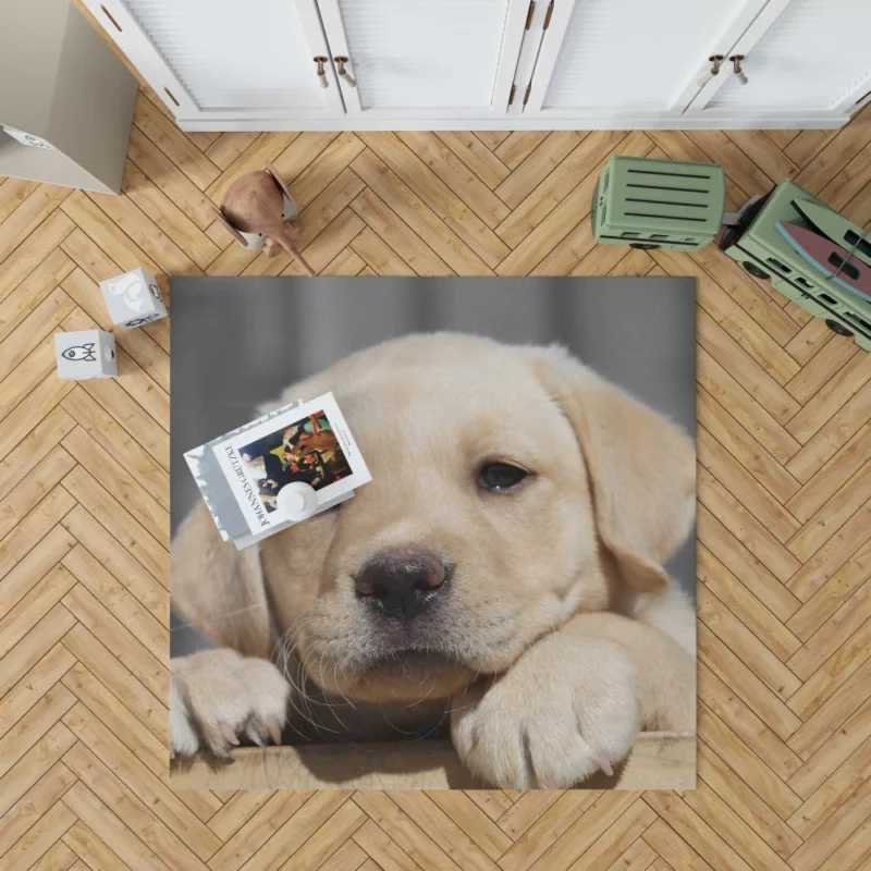 Labrador Puppy Innocent Appeal Fuzzy Delight Rug