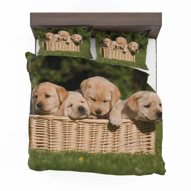 Labrador Puppy Playful Antics Joyful Bedding Set 1