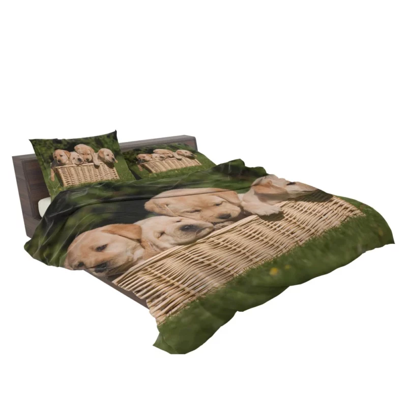 Labrador Puppy Playful Antics Joyful Bedding Set 2