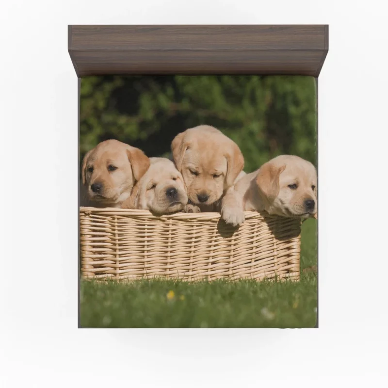 Labrador Puppy Playful Antics Joyful Fitted Sheet 1