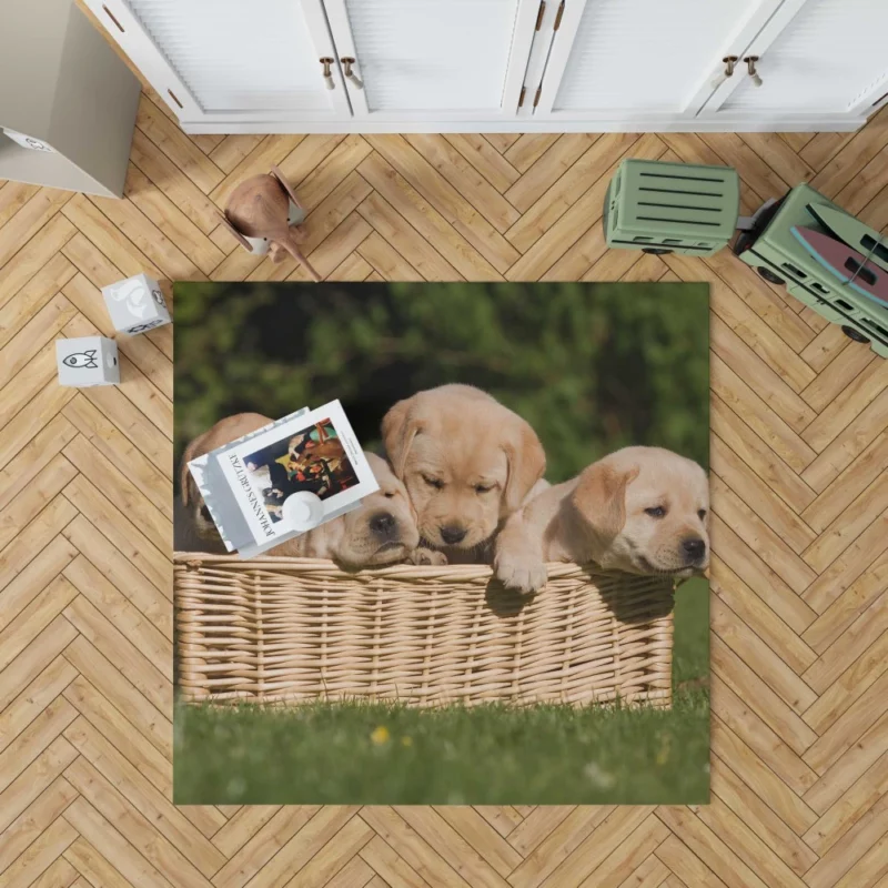 Labrador Puppy Playful Antics Joyful Rug