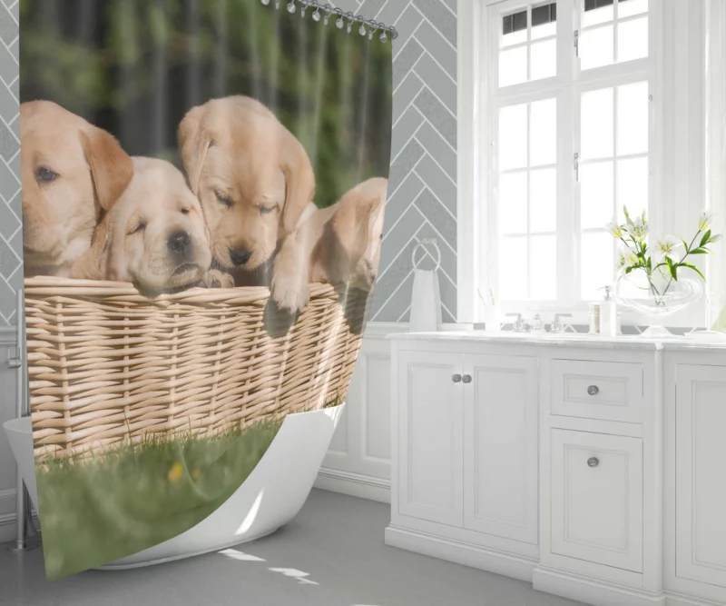 Labrador Puppy Playful Antics Joyful Shower Curtain 1