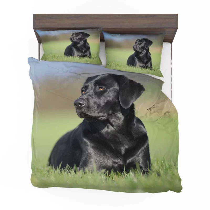 Labrador Retriever Amidst Blur Furry Charm Bedding Set 1