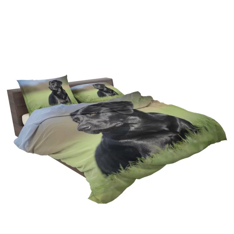 Labrador Retriever Amidst Blur Furry Charm Bedding Set 2