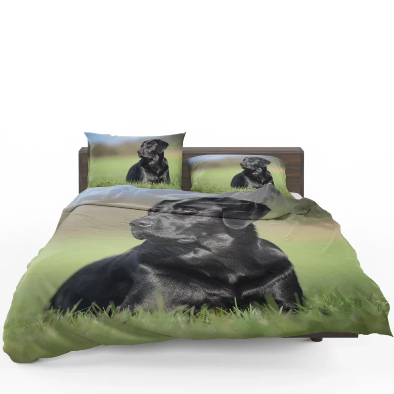 Labrador Retriever Amidst Blur Furry Charm Bedding Set