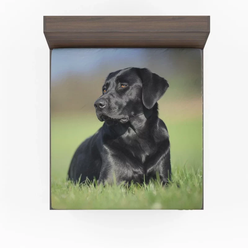 Labrador Retriever Amidst Blur Furry Charm Fitted Sheet 1