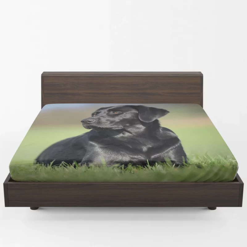 Labrador Retriever Amidst Blur Furry Charm Fitted Sheet