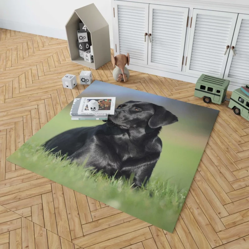 Labrador Retriever Amidst Blur Furry Charm Rug 1