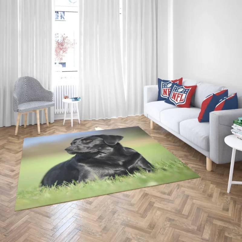 Labrador Retriever Amidst Blur Furry Charm Rug 2