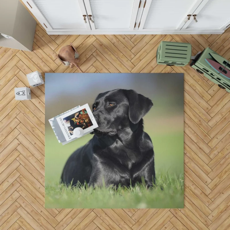 Labrador Retriever Amidst Blur Furry Charm Rug