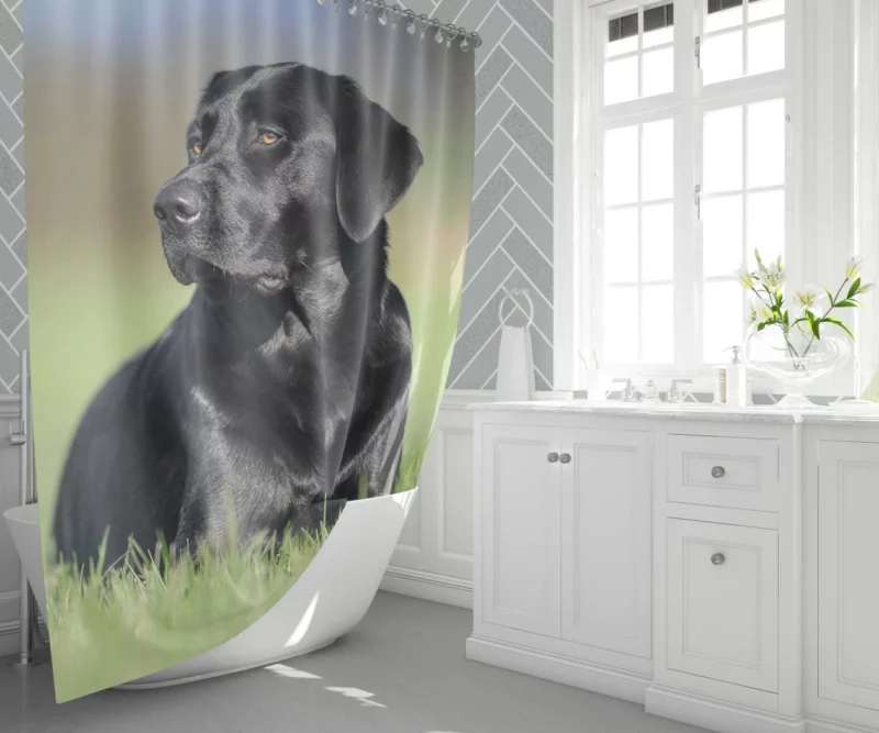 Labrador Retriever Amidst Blur Furry Charm Shower Curtain 1