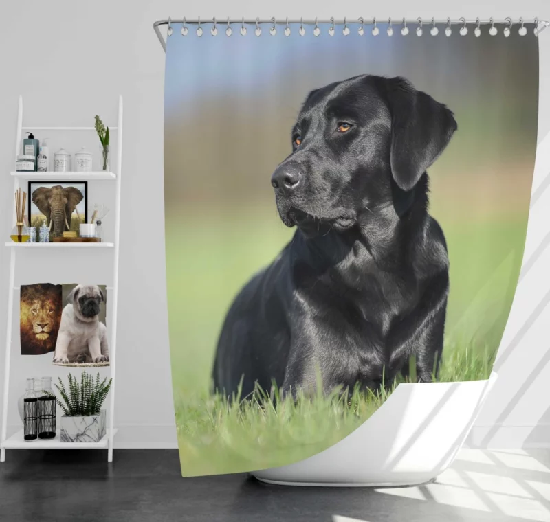 Labrador Retriever Amidst Blur Furry Charm Shower Curtain