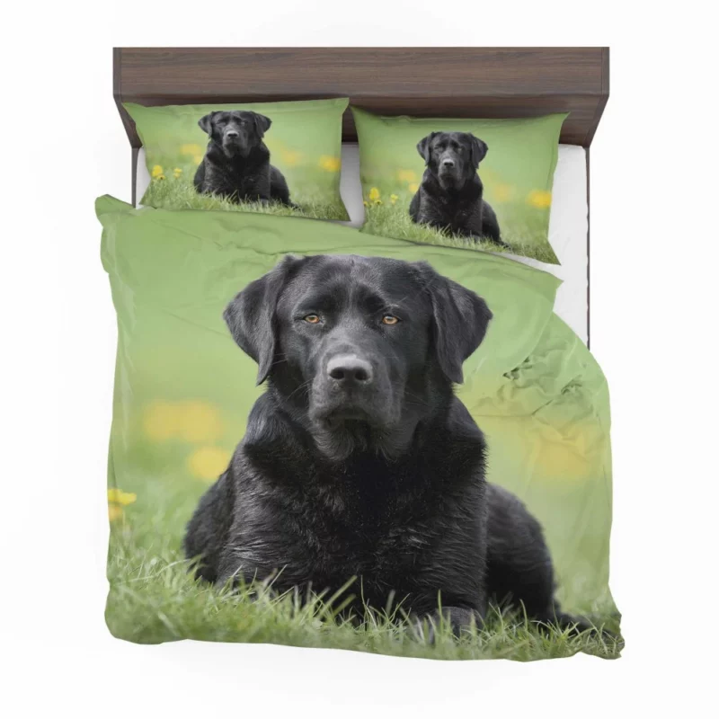 Labrador Retriever Depth of Field Grace Bedding Set 1