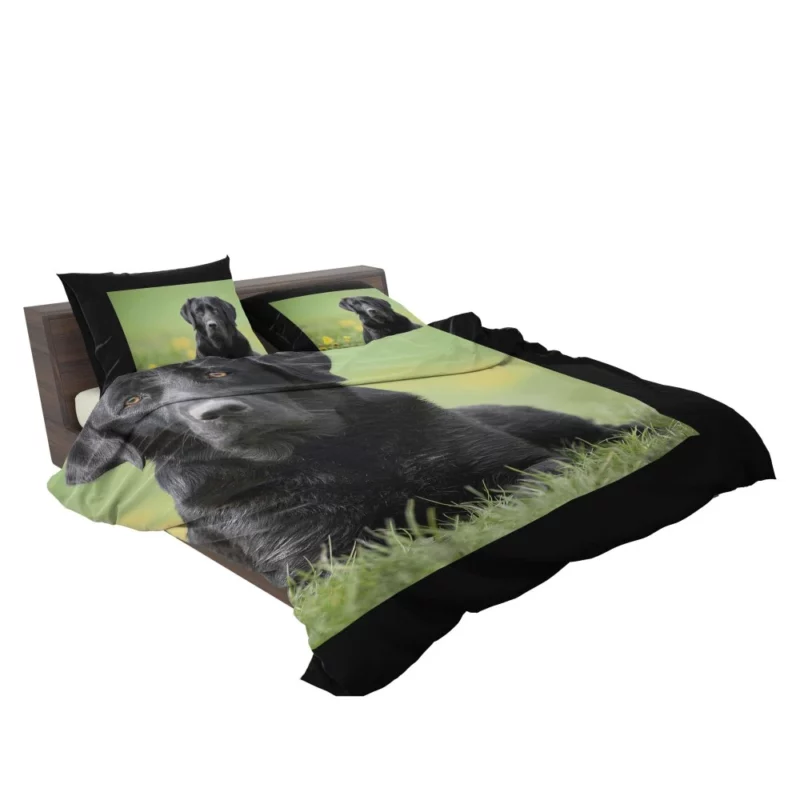 Labrador Retriever Depth of Field Grace Bedding Set 2