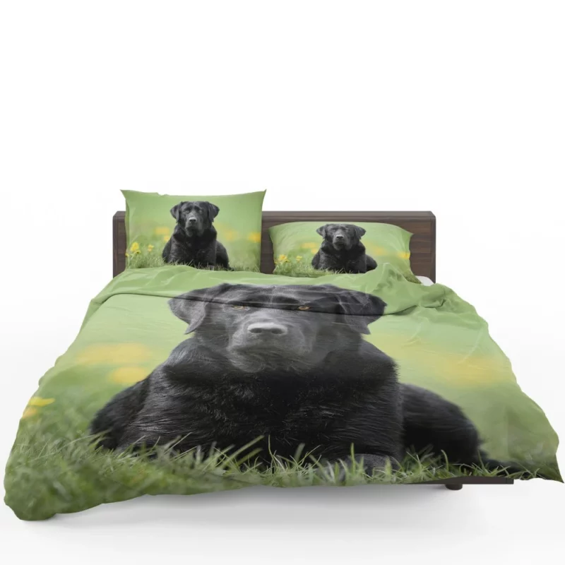 Labrador Retriever Depth of Field Grace Bedding Set