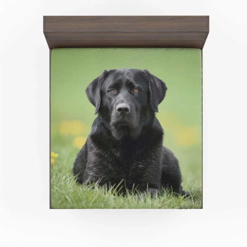 Labrador Retriever Depth of Field Grace Fitted Sheet 1