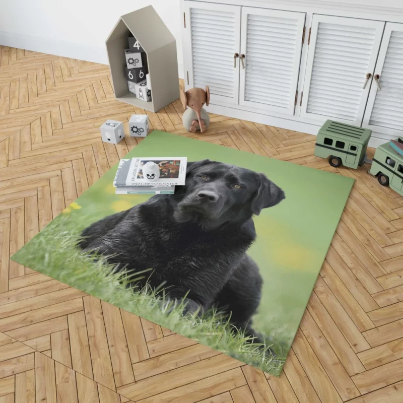 Labrador Retriever Depth of Field Grace Rug 1