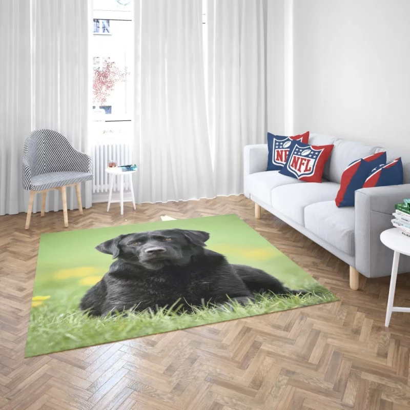 Labrador Retriever Depth of Field Grace Rug 2