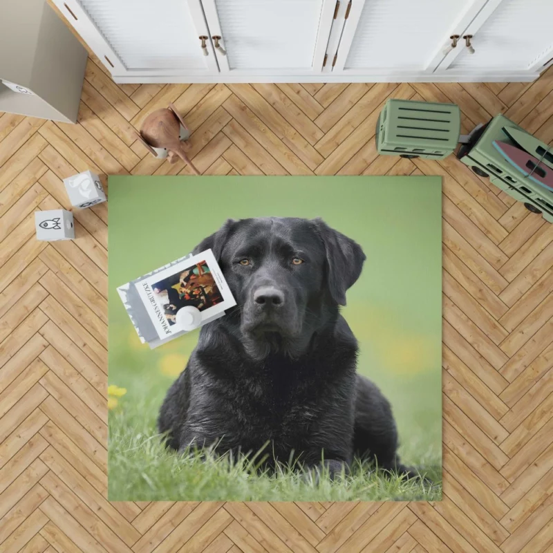 Labrador Retriever Depth of Field Grace Rug