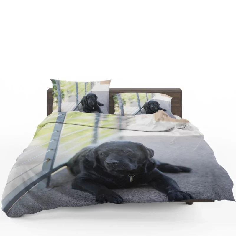 Labrador Retriever Loyal Stare Canine Devotion Bedding Set