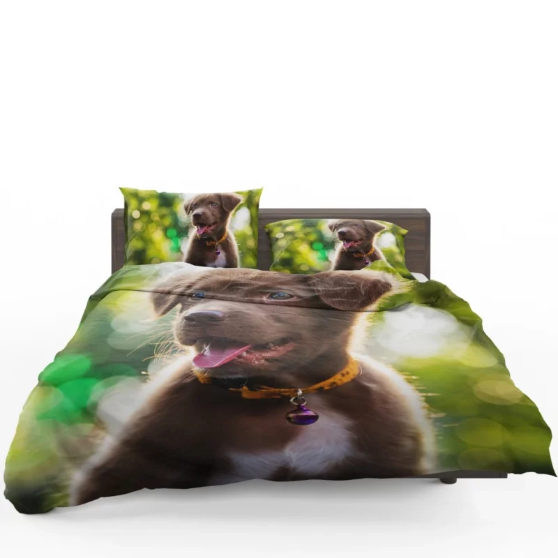 Labrador Retriever Puppy Bokeh Whimsy Bedding Set