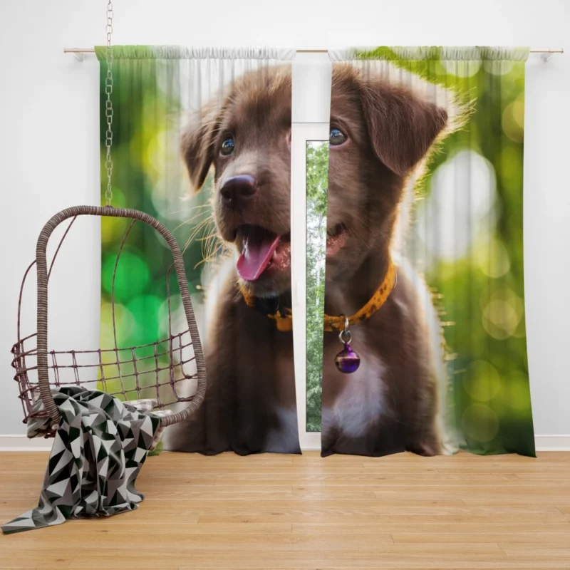 Labrador Retriever Puppy Bokeh Whimsy Curtain