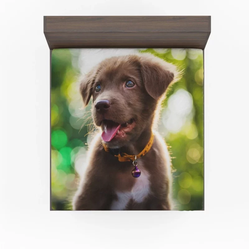 Labrador Retriever Puppy Bokeh Whimsy Fitted Sheet 1