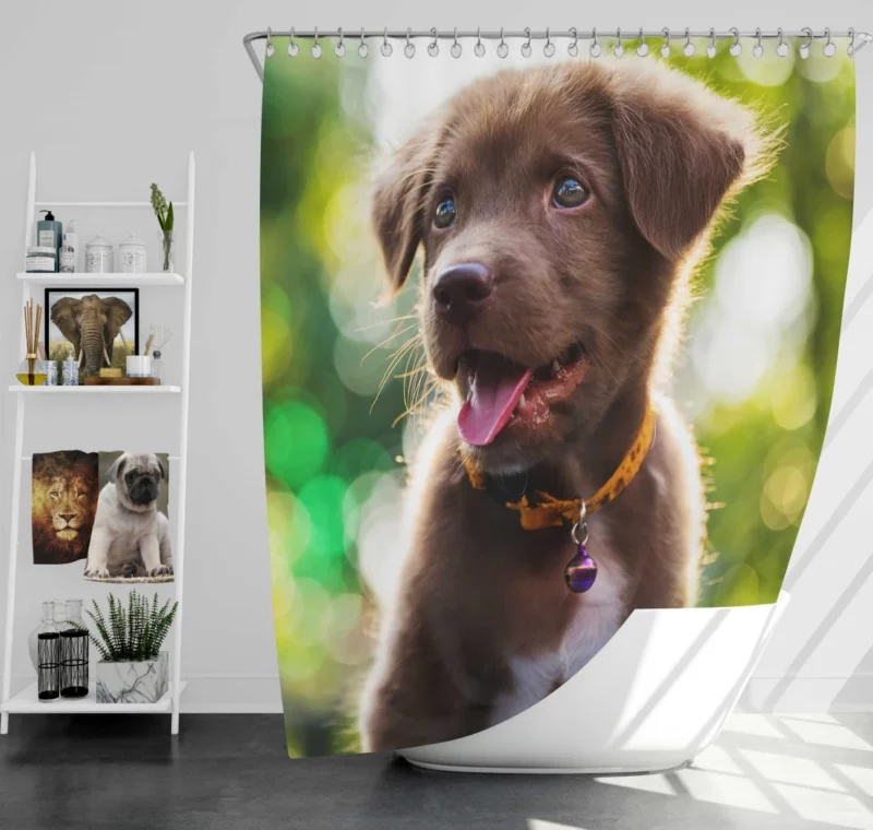 Labrador Retriever Puppy Bokeh Whimsy Shower Curtain