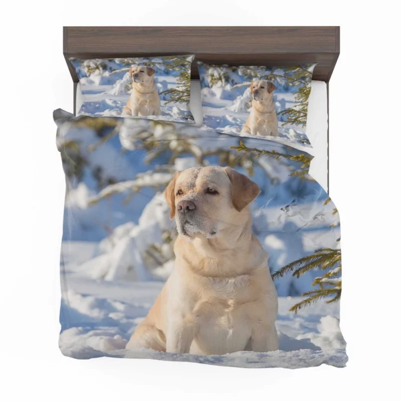 Labrador Retriever in Snow Winter Elegance Bedding Set 1