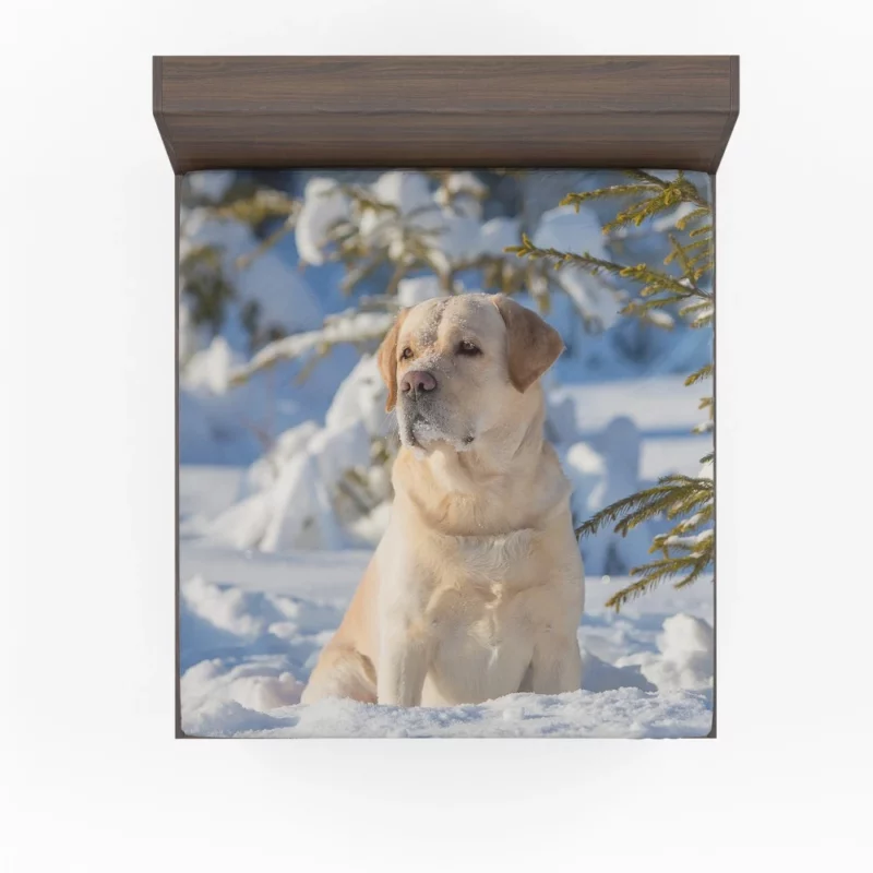 Labrador Retriever in Snow Winter Elegance Fitted Sheet 1