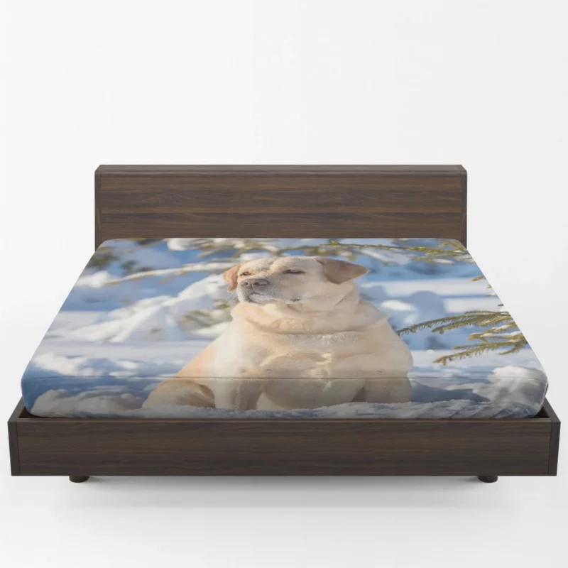 Labrador Retriever in Snow Winter Elegance Fitted Sheet