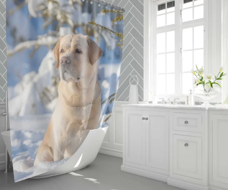 Labrador Retriever in Snow Winter Elegance Shower Curtain 1