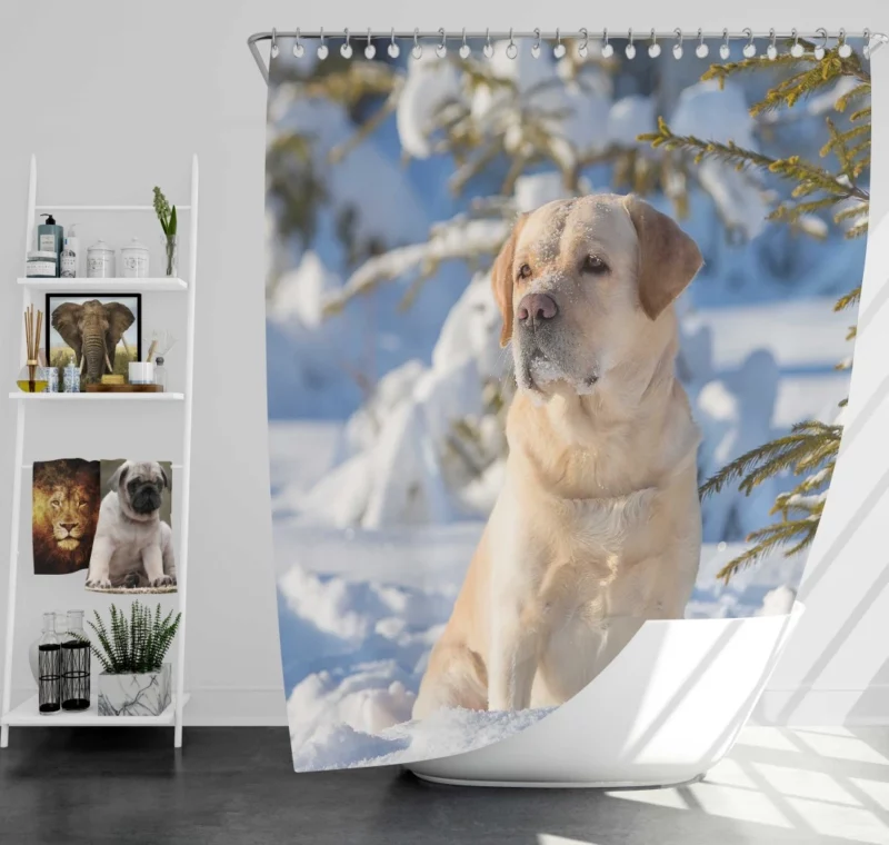 Labrador Retriever in Snow Winter Elegance Shower Curtain