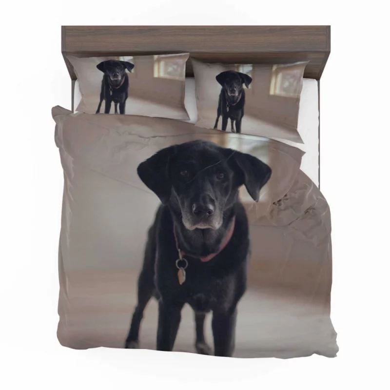 Labrador Thoughtful Gaze Canine Contemplation Bedding Set 1