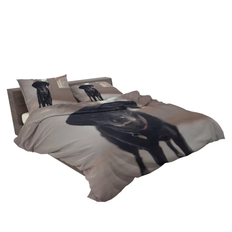 Labrador Thoughtful Gaze Canine Contemplation Bedding Set 2