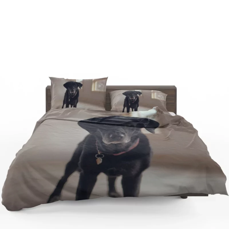 Labrador Thoughtful Gaze Canine Contemplation Bedding Set