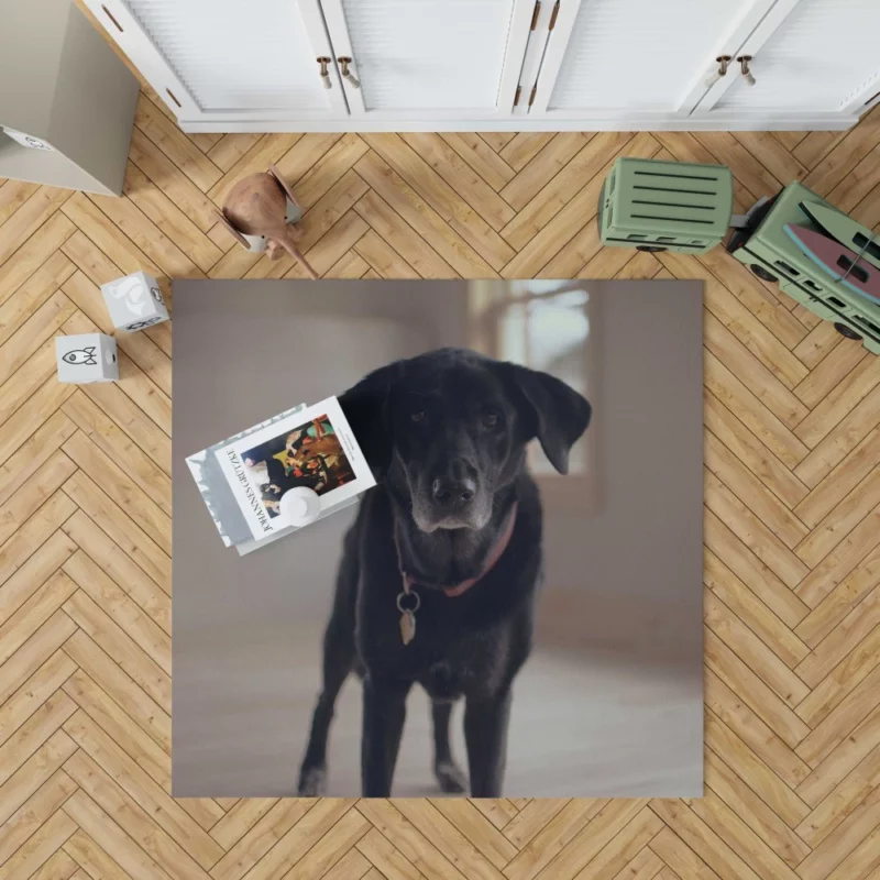 Labrador Thoughtful Gaze Canine Contemplation Rug