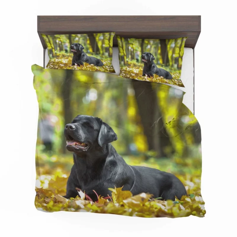 Labrador in Fall Leafy Whimsy Bedding Set 1