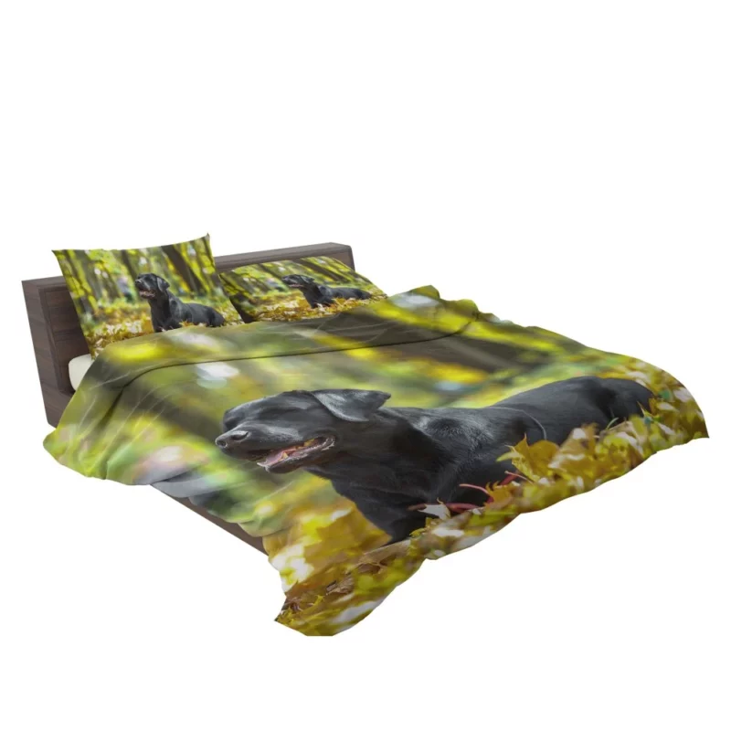 Labrador in Fall Leafy Whimsy Bedding Set 2