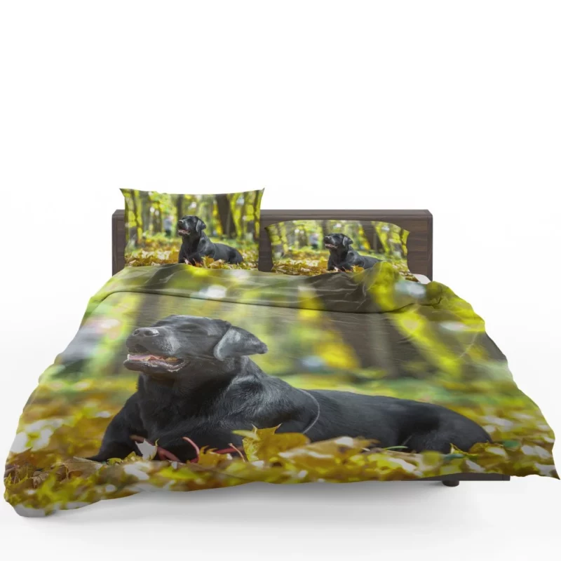 Labrador in Fall Leafy Whimsy Bedding Set